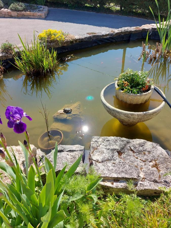 Le Moulin De L'Etang Hotel Chaneins Kültér fotó