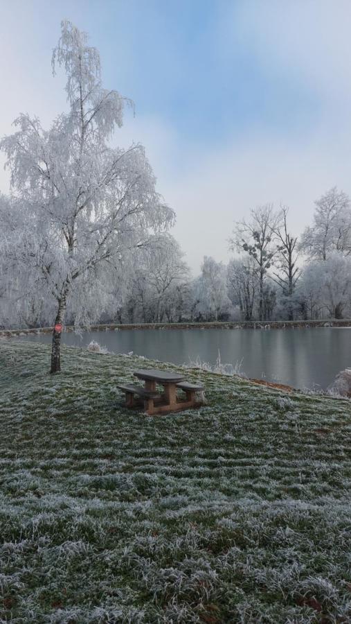 Le Moulin De L'Etang Hotel Chaneins Kültér fotó